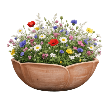 Preview: Große Impruneta Terracotta Schale in Rosenform – handgefertigt und frostfest